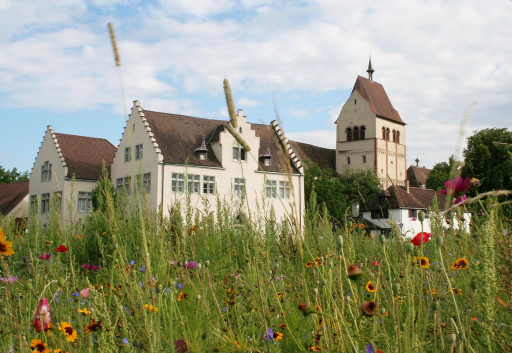 Comfort is not something we moderns invented. The Abbey of Reichenau in southern Germany had central heating already in the 9th century.