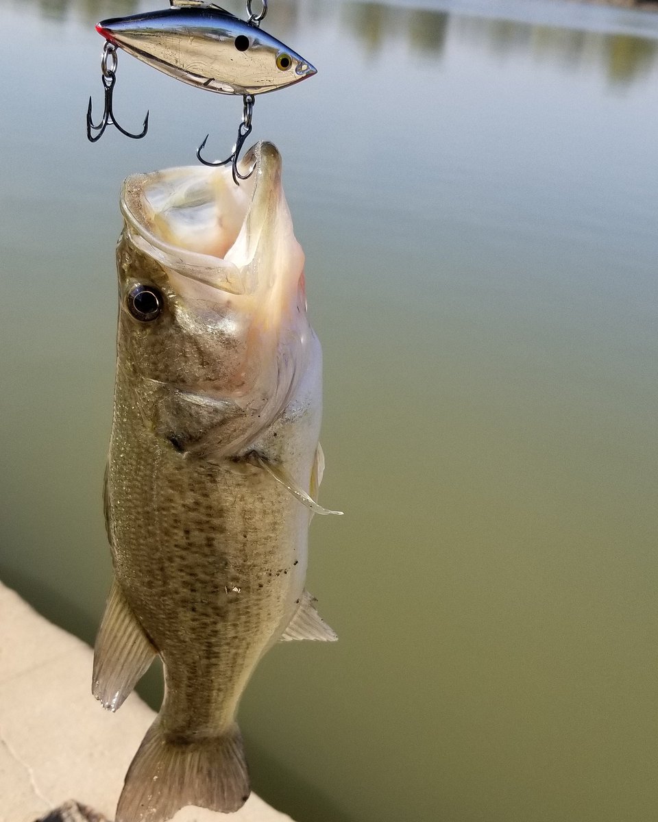MichaelGrubbs5's tweet photo. @BillLewisLures https://t.co/TRRrwDHkov