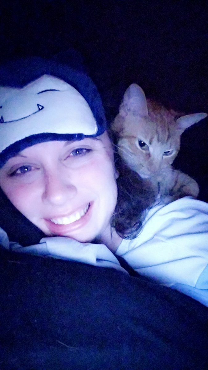 ConMonQuinn13's tweet image. Loving the cat life lol @BTS_twt #JiminTheCalico #CatMom #ConMon 😻😻😻😻😻😻