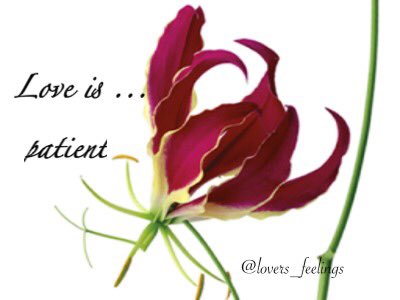 ALDUB QUOTES tweet media