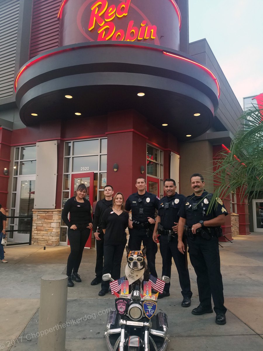 ChopperBikerDog's tweet image. Joining forces w/ the @NATIONALCITYPD &amp;amp; @CoronadoCity PD to help raise money for the @SOSC_SanDiego Even the Mayor of NC came by  #FirstTip