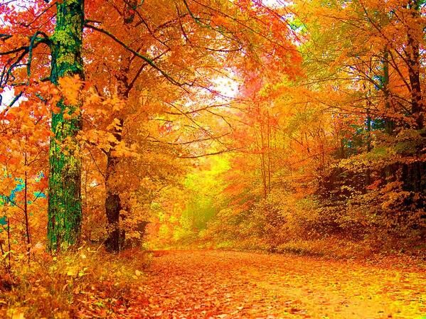 Vermont ve sonbahar...