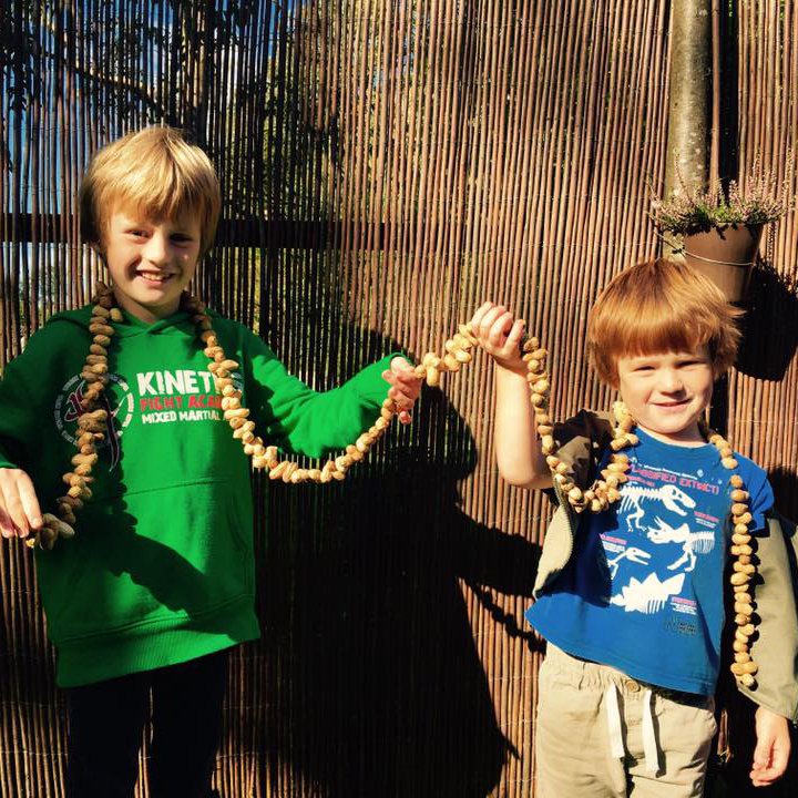 whizzpopbangmag's tweet photo. Cracking peanut string boys! The birds in your garden will be very happy #savethebirds #sciencefunforkids #autumn https://t.co/W3qjY3206s