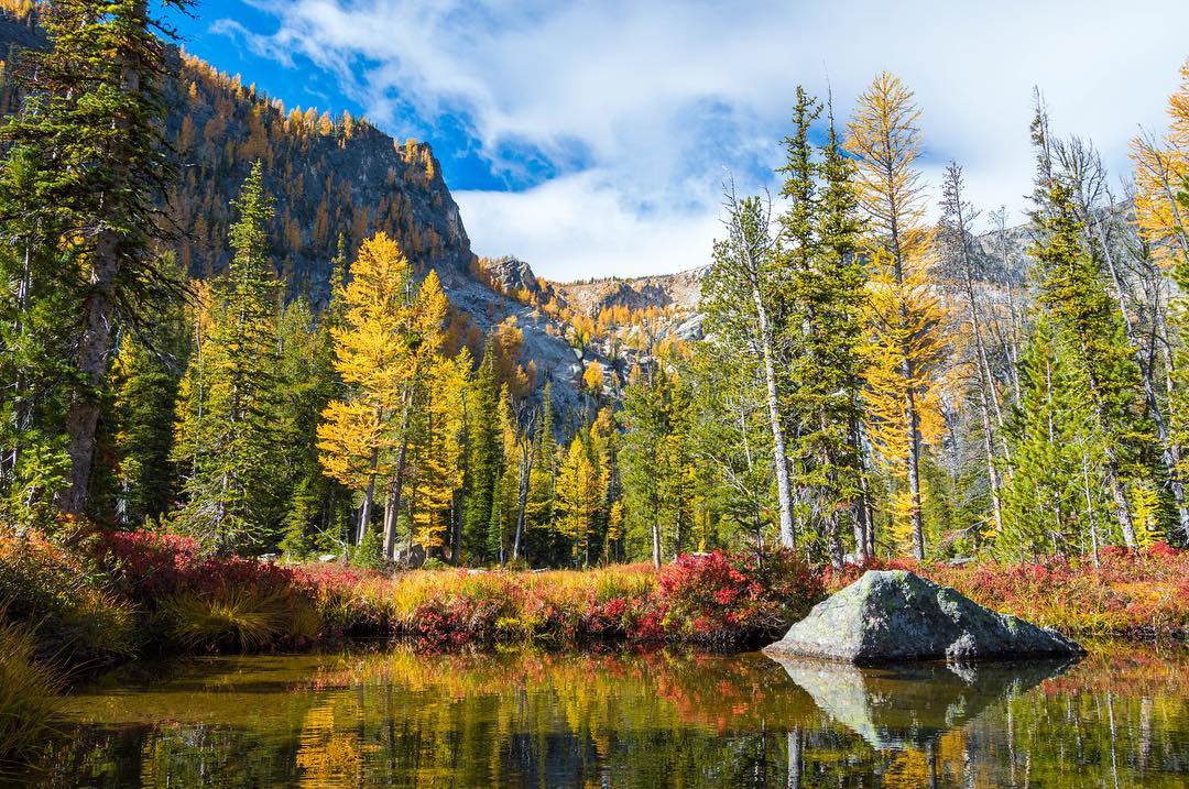 visitmontana tweet picture