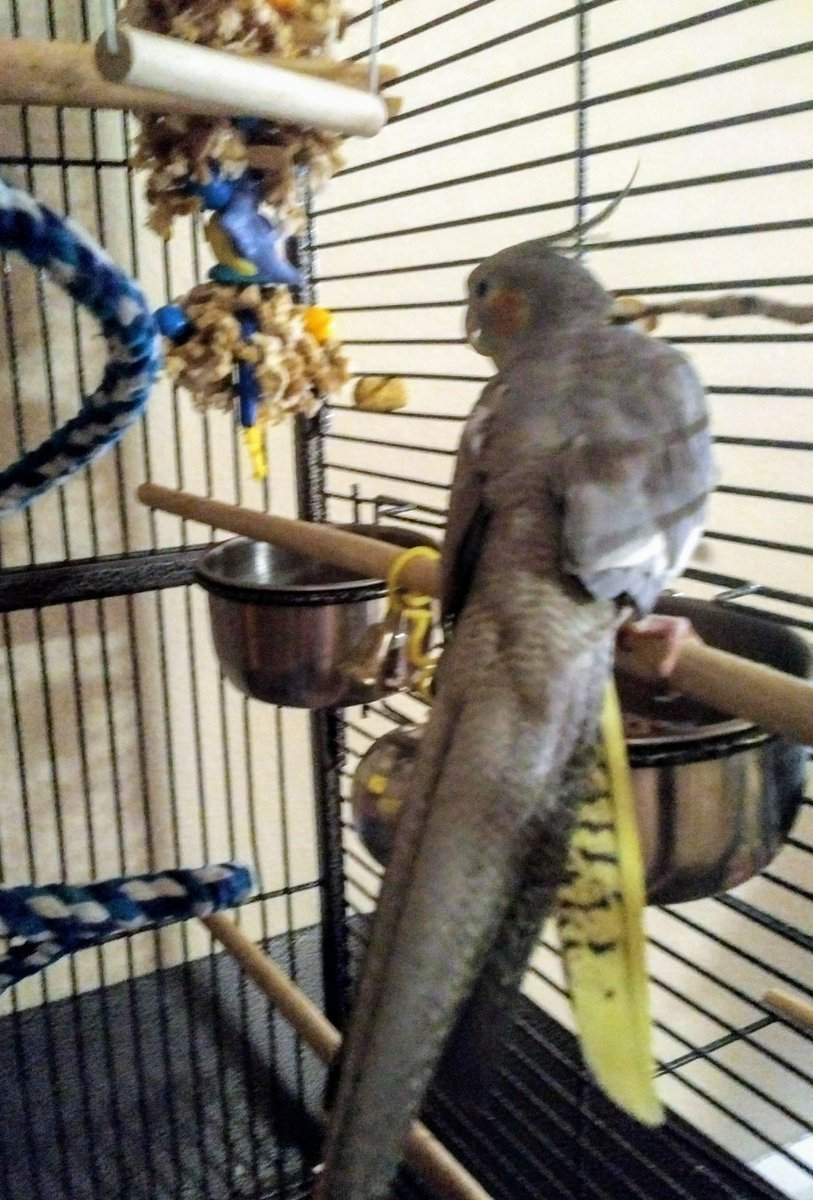 AWildStarly's tweet photo. NO PICTURES! https://t.co/ykdDG0F5Zq