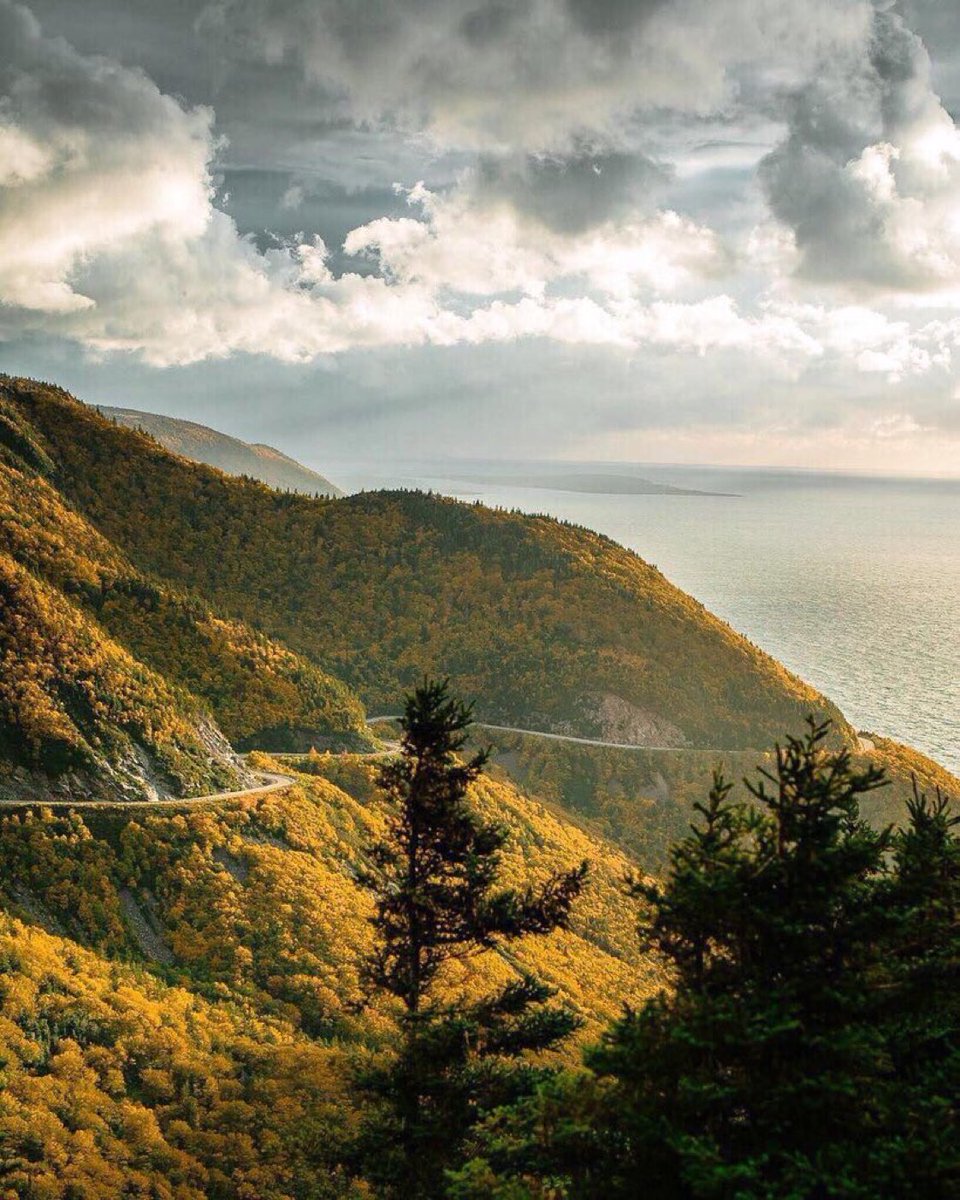 theearthlypics's tweet photo. skyline trail https://t.co/UtgUqxQyJR