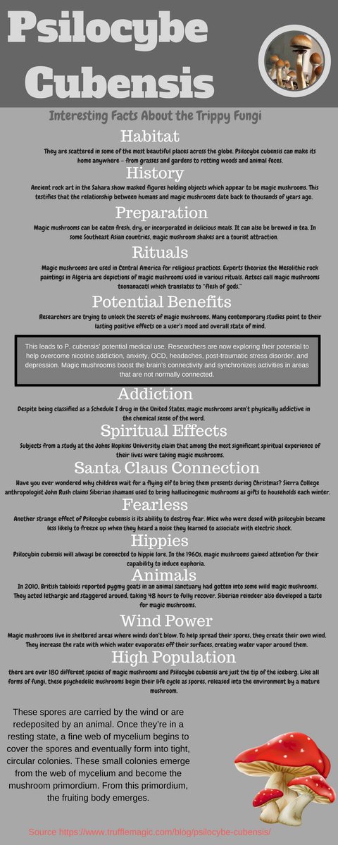Cheriwalsh75's tweet photo. Psilocybe Cubensis

magic mushrooms,shrooms,psilocybin mushrooms https://t.co/vZfjlJOlLv