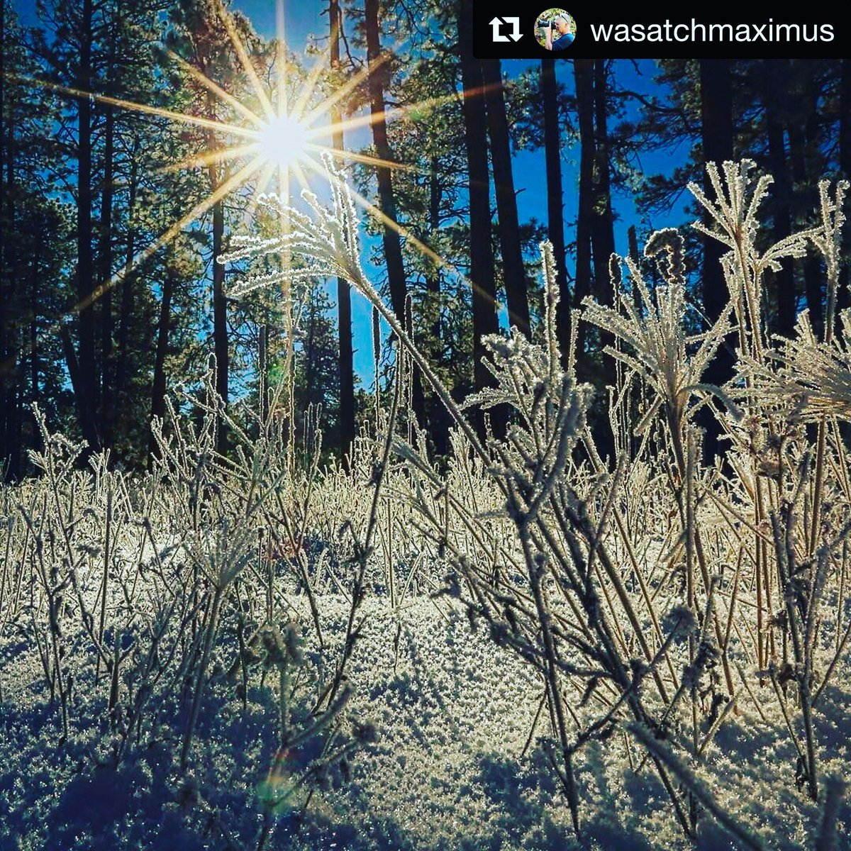 denisebuchman's tweet photo. We believe in #peaceful engagement and voices to be heard valued with #nonviolence #beingrelational @JoinORANS https://t.co/bkrQB0mnx1