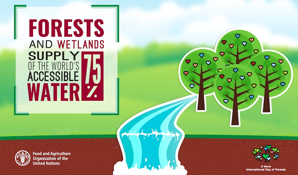 #Forests supply 75% of the world’s accessible fresh water bit.ly/1Pqh2NO #ForestH2O