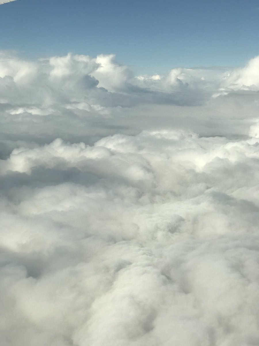 FullofInfluence's tweet image. Bed of #clouds so soft you can lay on it. And then you smoke it. Isssda reefa mon #Marley