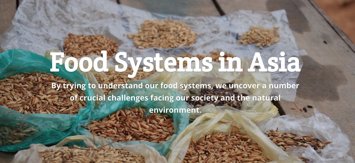 GRAIN_org's tweet photo. Photo essay shows nature as a source of food &amp; life in Asia, and peoples’ struggles to protect it. From @focussouth
https://t.co/l9qslwVh0A https://t.co/UTAD5eTbJq