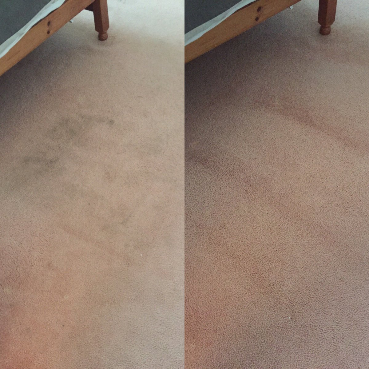 beck_cleaning's tweet photo. A customer in Mold yesterday before and after bedroom carpet. https://t.co/bJptFo3DIo