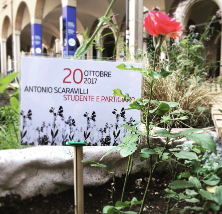 CentroAntartide's tweet photo. Spunta una rosa per #Scaravilli, studente e #partigiano, nel giardino delle #Malerbe a #Bologna @twiperbole @UniboMagazine #20ottobre https://t.co/Rybs9uWVbq