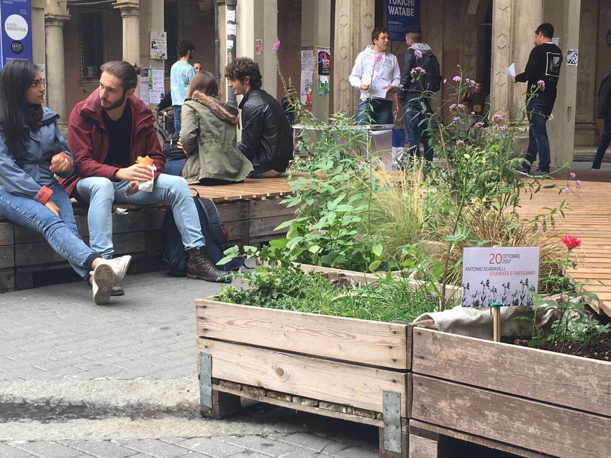 CentroAntartide's tweet photo. Spunta una rosa per #Scaravilli, studente e #partigiano, nel giardino delle #Malerbe a #Bologna @twiperbole @UniboMagazine #20ottobre https://t.co/Rybs9uWVbq
