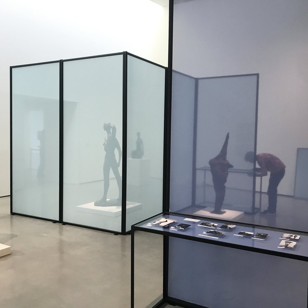 vPPR_Architects's tweet photo. Finishing touches being carried out at the @HepworthGallery before tonight's opening of Alina Szapocznikow: Human Landscapes. Honoured to have worked with the fantastic Hepworth team on this incredibly inspiring show. Another vPPR x @twelve_la collaboration. #AlinaSzapocznikow https://t.co/OGKdyH3I0G