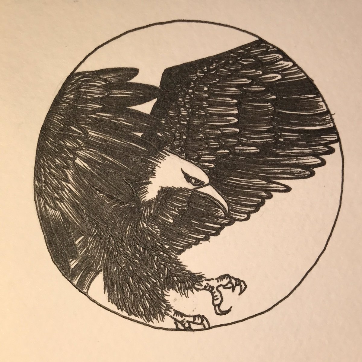 鷹の絵