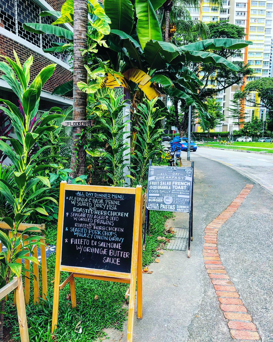 flockcafespore's tweet photo. #flockcafe #singapore #food #eat #foodporn #sg #local #cafe #yummy #Trending #foodie https://t.co/ErOpy3VqDW 🍕🥙🥪🍝 https://t.co/z45MjcZcBG