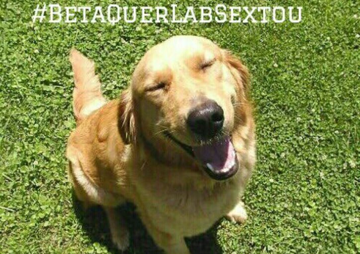 flaviotimmbeta's tweet photo. Bom dia 😃 
Eu lembro dos dias que orei por coisa que tenho hoje 🙌🏾🙏🏽
#BetaQuerLab https://t.co/0Ng3VWhWyM