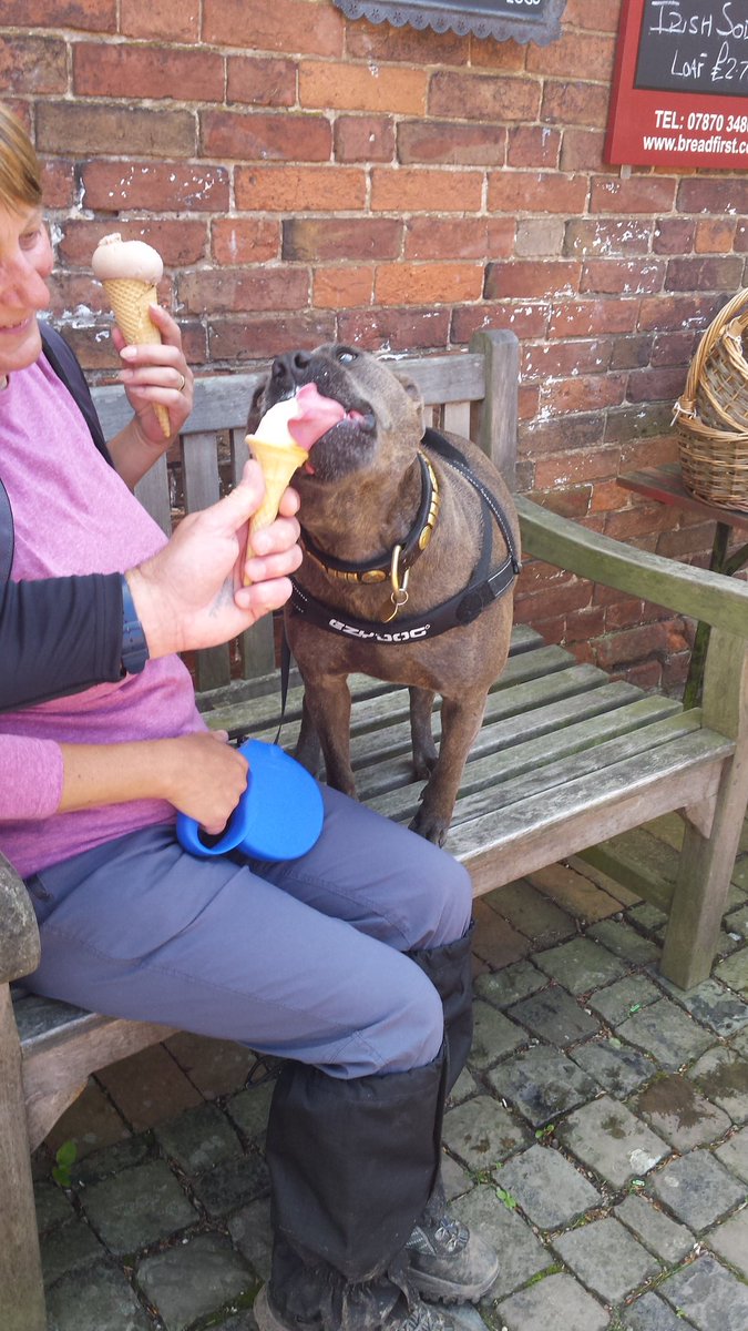 Bread1st_staunt's tweet photo. Oh no....the ice creams are finishing soon for the season. Last chance to get your chops round a Bluebells ice cream sunday 29th October 🍦 https://t.co/EGe17DzoNt