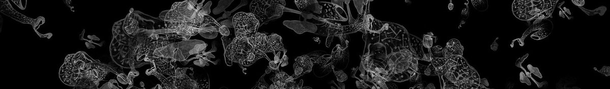 MAYA - eine »Mixed-Reality-Techno-Oper« interpolationen.de/2017/09/22/may…