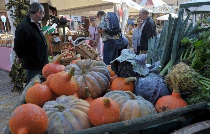 Mary6065's tweet photo. Un tour au marché 🙋🏼 https://t.co/O7DIsOR1z7