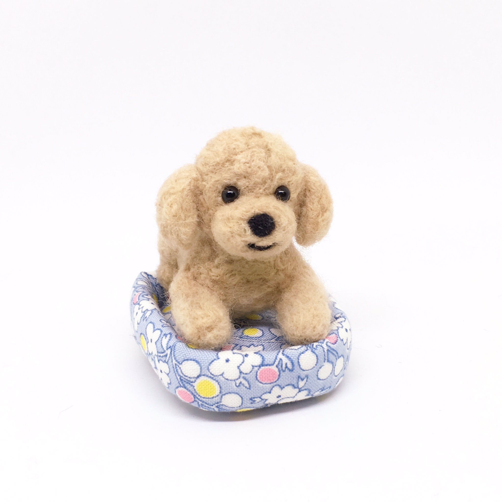 Chippoke ようこ 羊毛フェルト トイプードル アプリコット ベッドのサイズ 6 5 5cmくらい 羊毛フェルト犬 羊毛 羊毛フェルト トイプードル トイプードルアプリコット トイプーアプリコット トイプー デザフェス デザインフェスタ T