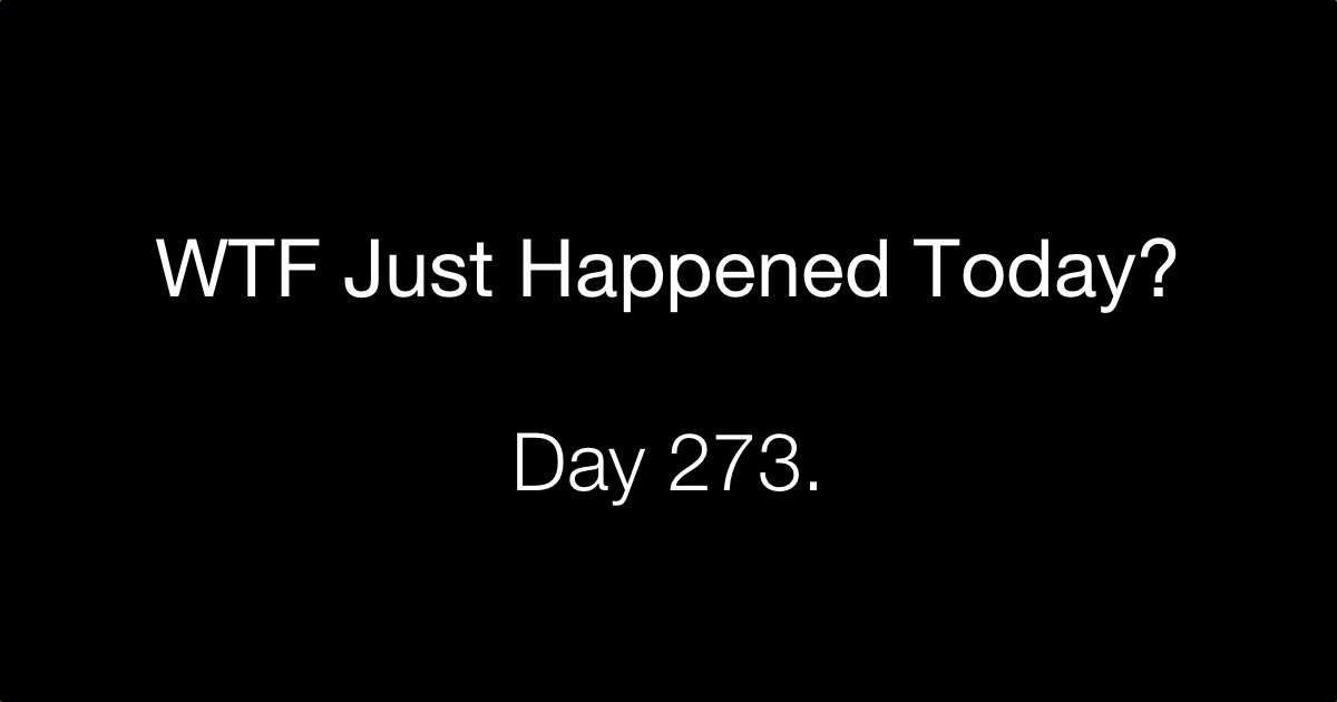 altUSDS's tweet photo. Day 273 https://t.co/1hTaQ3OIia via @WTFJHT https://t.co/tlI2tOZMtO