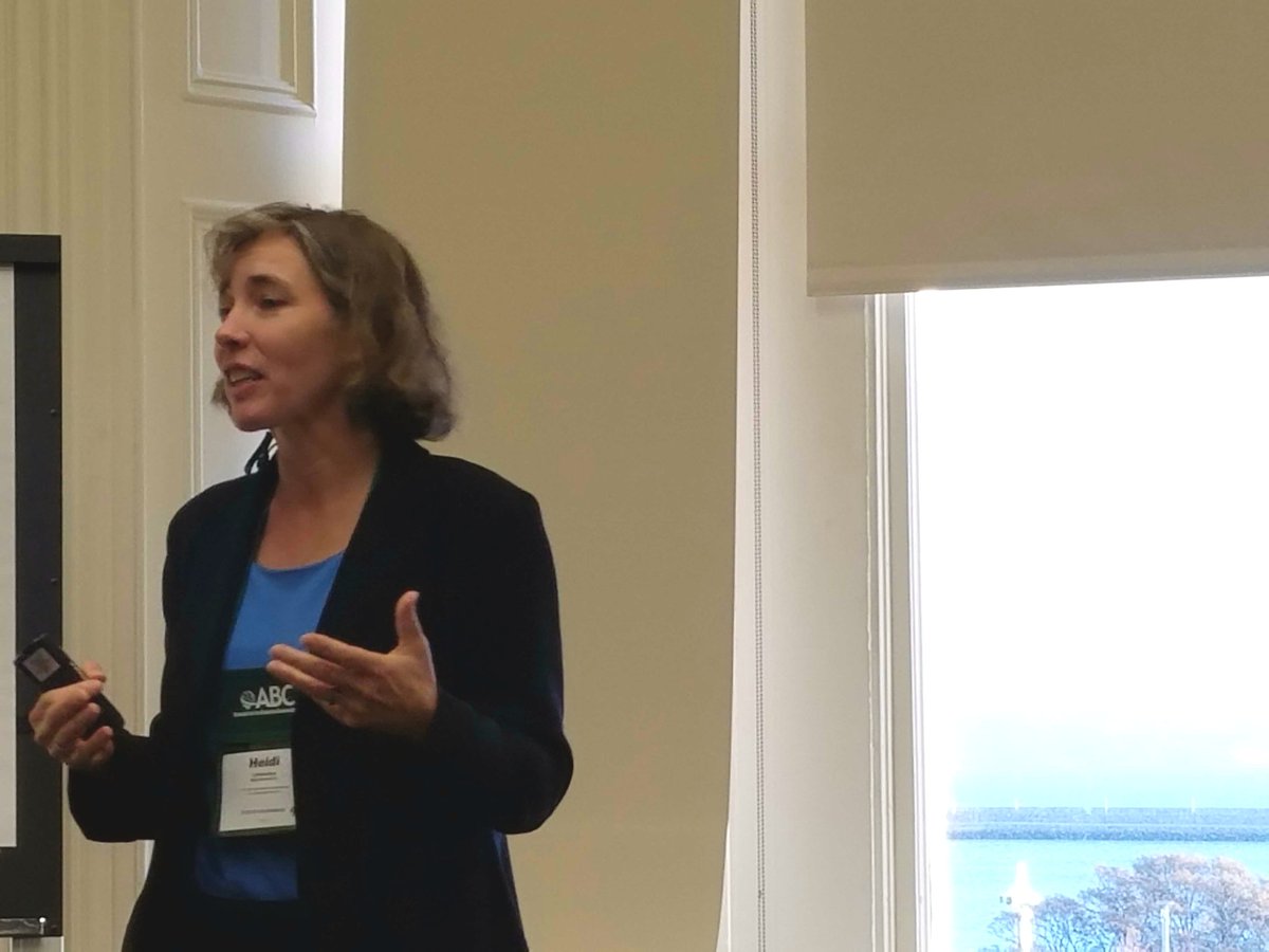 Heidi McKee on AI at #IrelandABC