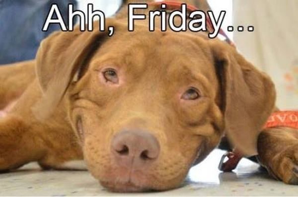 rootcandleseu's tweet photo. Happy #Friday people 😘😘 #rootcandles https://t.co/bL0ni42qM4 https://t.co/Pte0fMfwOq