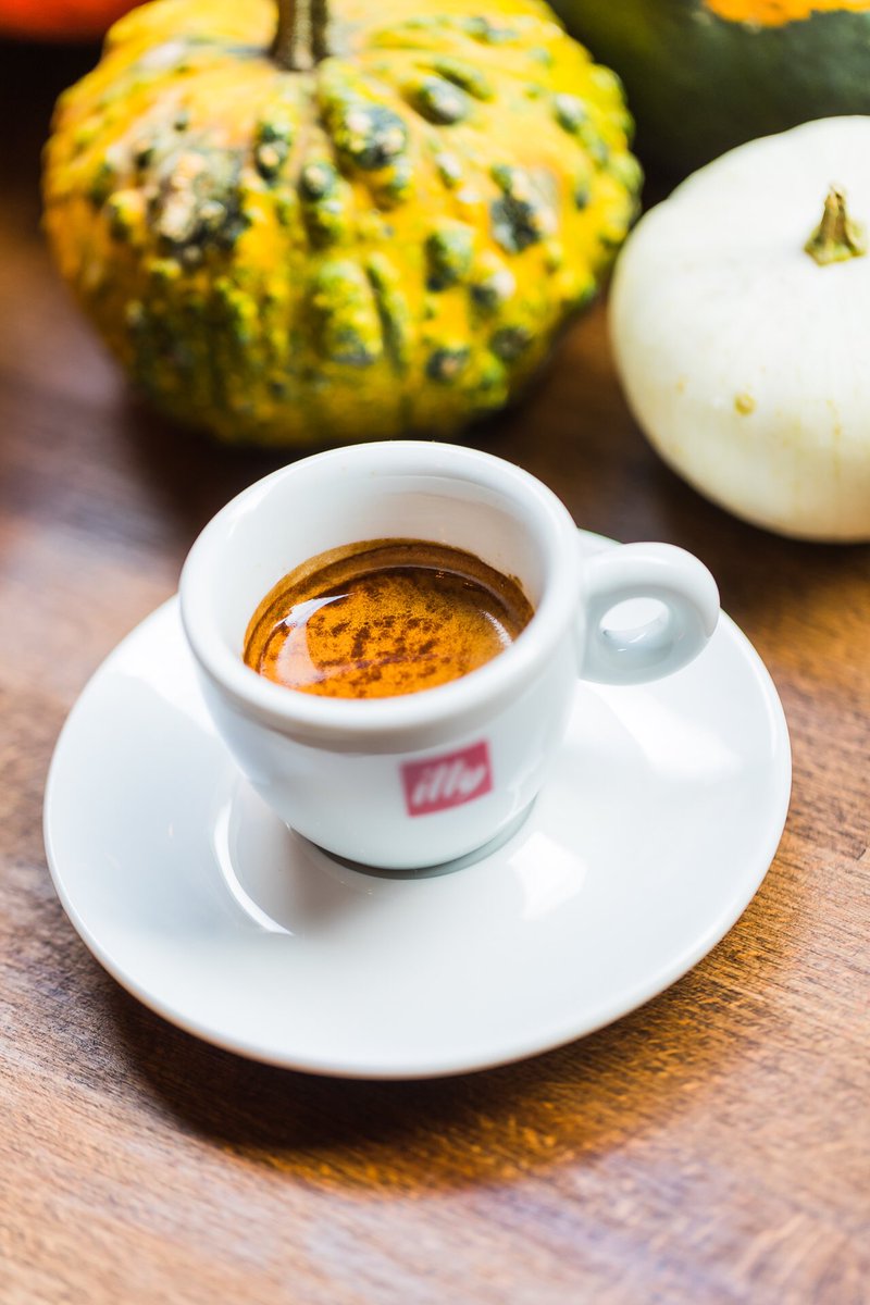 Perfect Octopus 🦴 tweet media