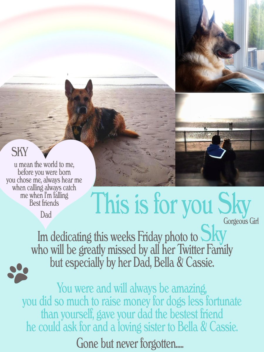 #FF Have a great weekend lovely people &amp; pooches 🐾 @Wellybix <a href="/Woofbed/">WoofBed.co.uk Where Dogs Sleep Better</a> @PoochAndCo <a href="/keegansknines/">Keegan-Knines</a> <a href="/dotty4paws/">Dotty4Paws</a>