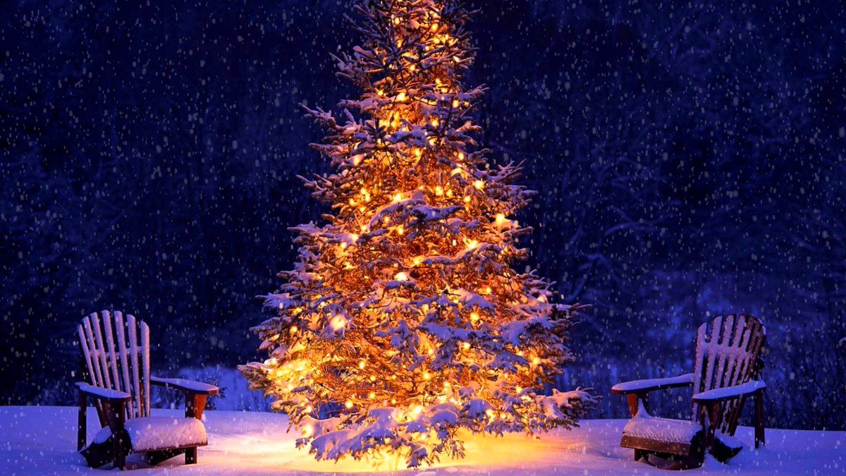BoutiqueChalet's tweet photo. ***LIVE NEWS*** We've just had a cancellation at @Ferme_de_Moudon XMAS WEEK. There is no better place  https://t.co/x7FN3JdrlK https://t.co/YVw1VNjuGo