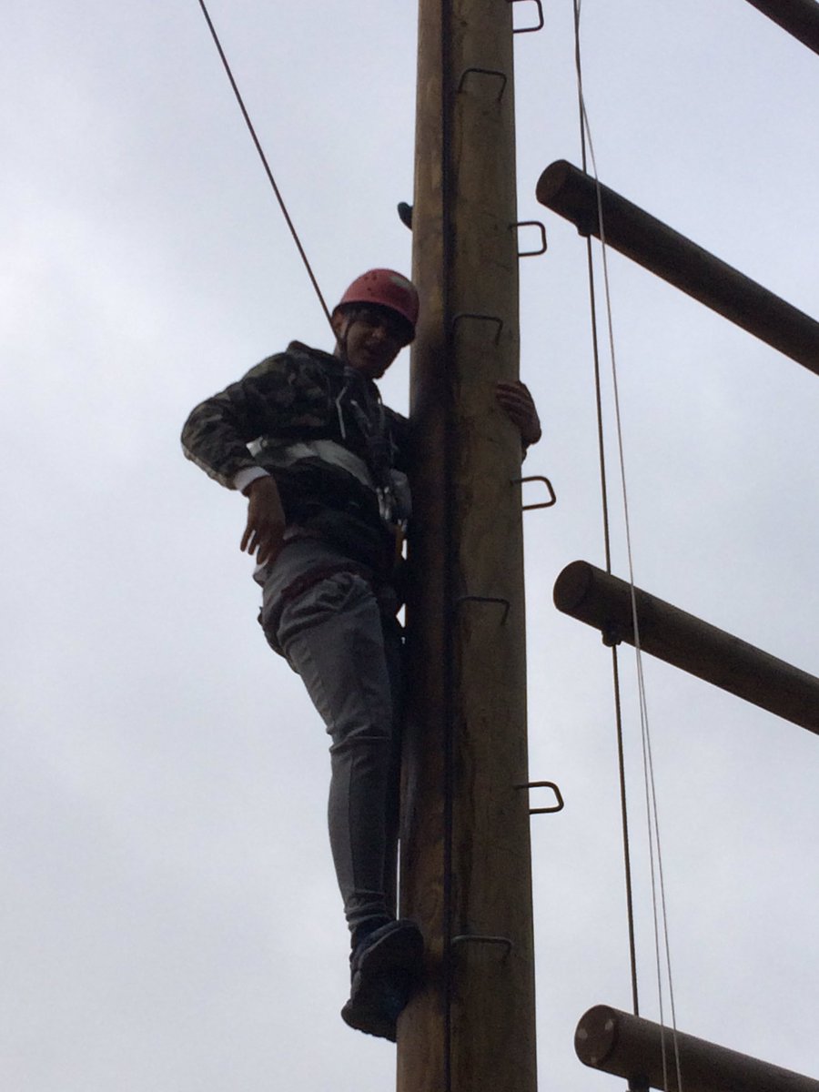 Steven Milford tweet media