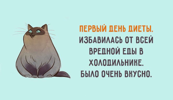 Статусы о похудении смешные с картинками, бумаги