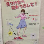 名古屋市のセアカゴケグモ対策がワイルドすぎる!