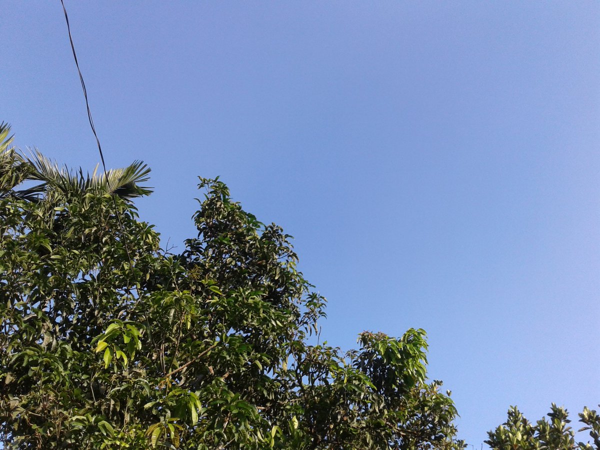 আমার নিজে হাতে তোলা