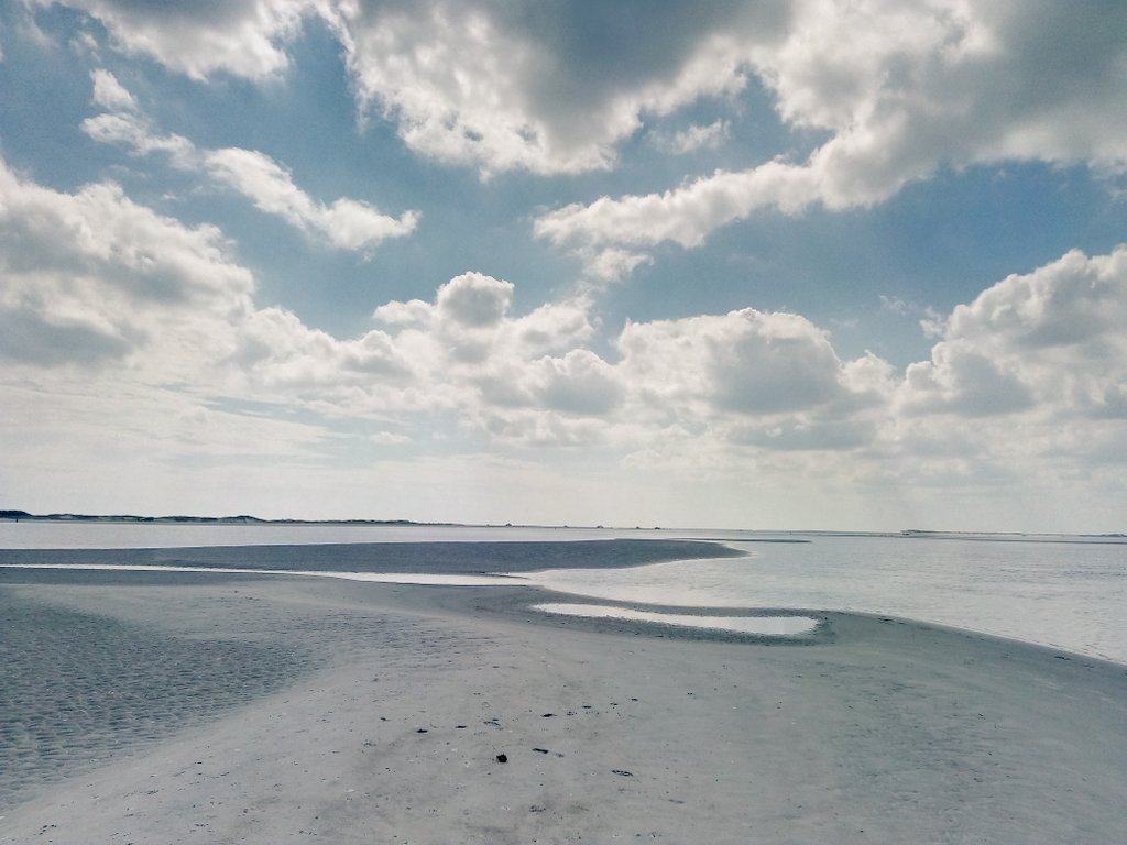VictoriaShrop's tweet photo. A little island near Topsail NC we like to call Shroplandia #teamshrop #ondaboat https://t.co/lbdC3ggHDf