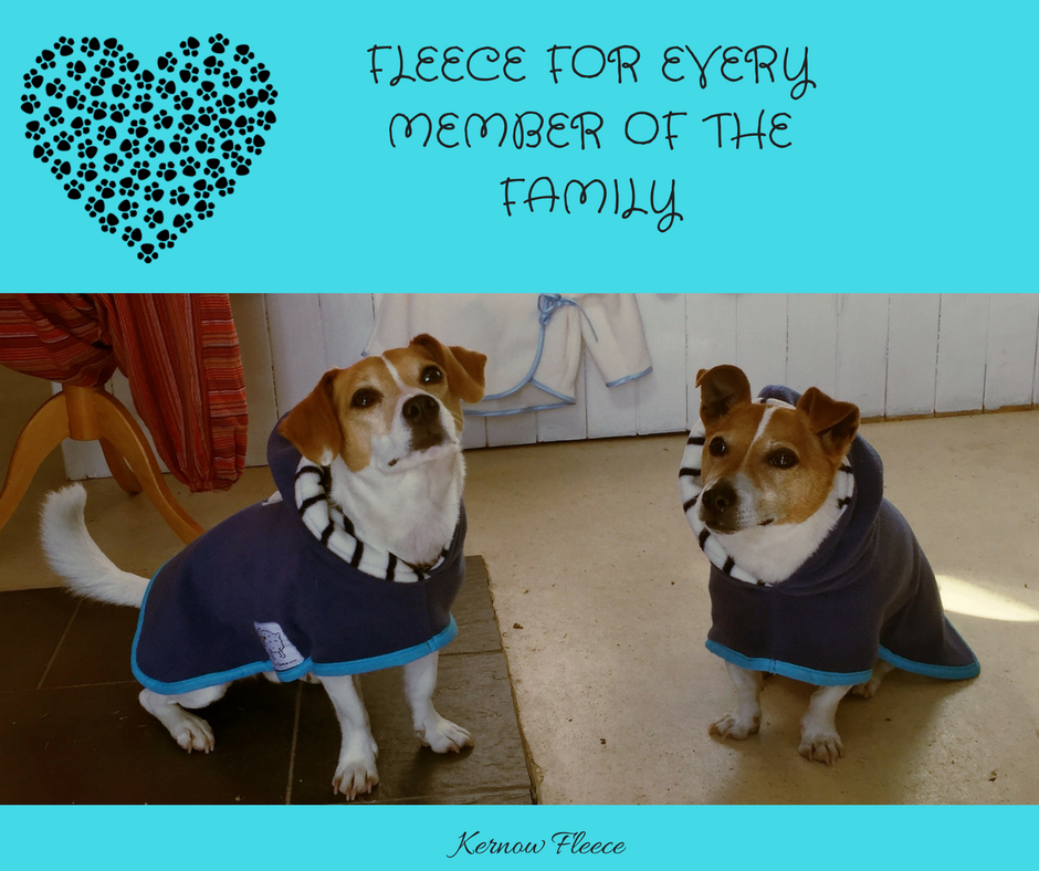 Thanks for the follow <a href="/ILoveDogsWin/">I Love Dogs</a> ...have you see our cute #dogcoats ? #MadeInCornwall #ByTheSea #winter #dogwalks