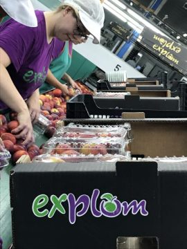 RevistaMercados's tweet photo. Todo el #sabor de Extremadura en el stand de #Explum 
https://t.co/KdhAPTqPDv #FruitAttraction2017 https://t.co/ZddBBb58Bk