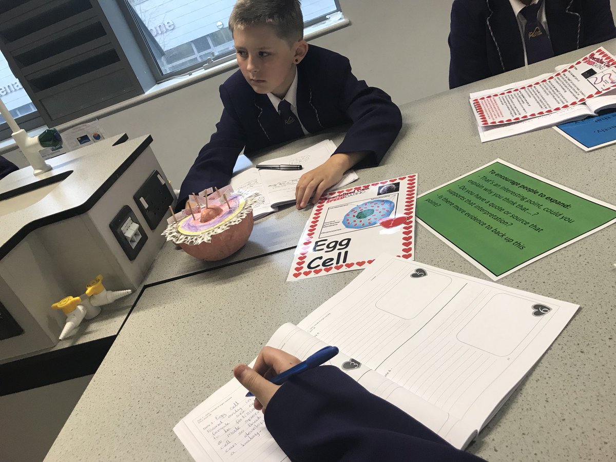 ebbwfawr's tweet photo. FANTASTIC oracy from y7 this morning in science open door lesson #cellspeeddating #projectpawb https://t.co/jUES0Wfck0
