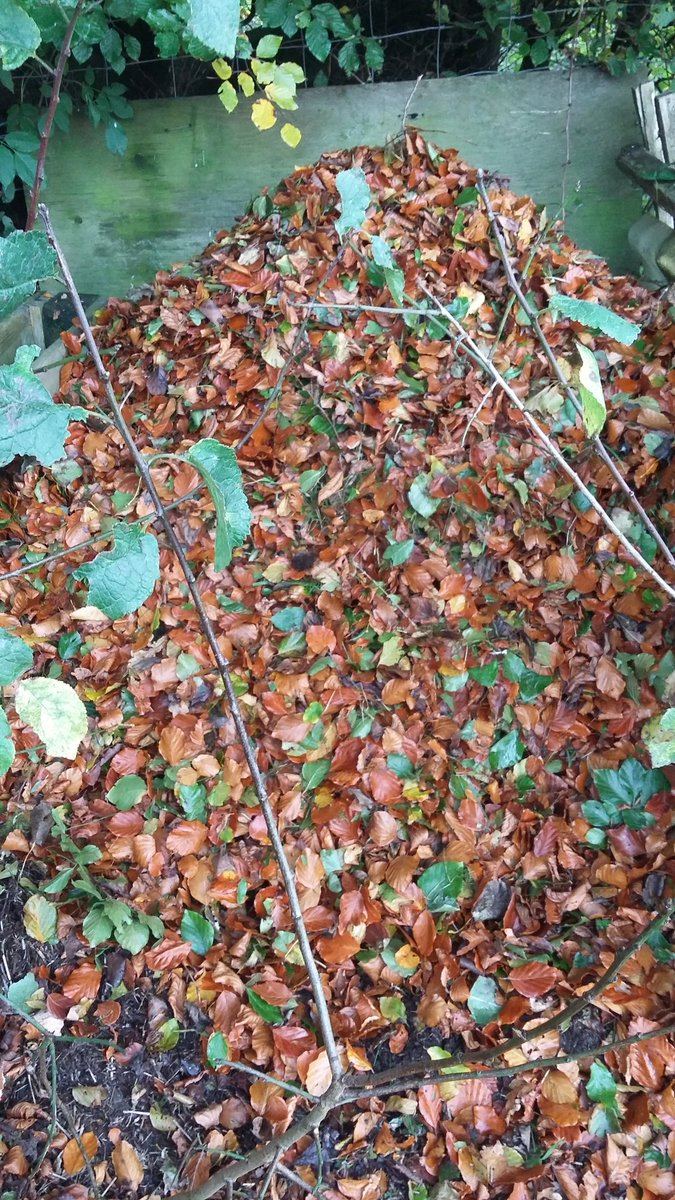 howardfarm's tweet photo. Autumnal  feel ex #Ophelia storm #leaves #logfires @howardfarm  with @Asslossgarden2   &amp;@SlowFoodWScot  to #Kilmarnock farmers market sat 21 https://t.co/Lfy7O1kX5i