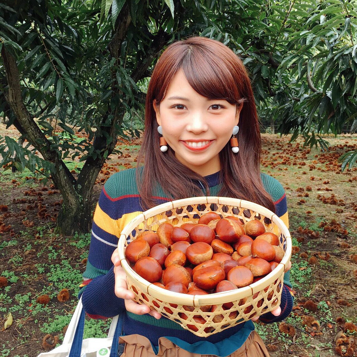 nanaseyamane's tweet photo. 本日は #おはようコール 見ていただきありがとうございました😌🌟
栗特集どうでしたか？🌰
ロケでは素敵な出会いがたくさんあったので、機会があれば個人的に行きたいなと思いました😌💓

#丹波
#栗
#KATASHIMA 
#福田観光栗園 
#栗きん豚まん
#中島大祥堂 
#大連飯店 https://t.co/sob3WxW6Va