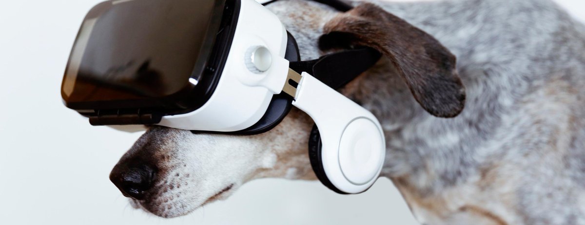 mephinet's tweet image. Want to become a senior #Perl developer in Vienna? Join us! apa-it.at/Site/jobs/Soft… #perljobs