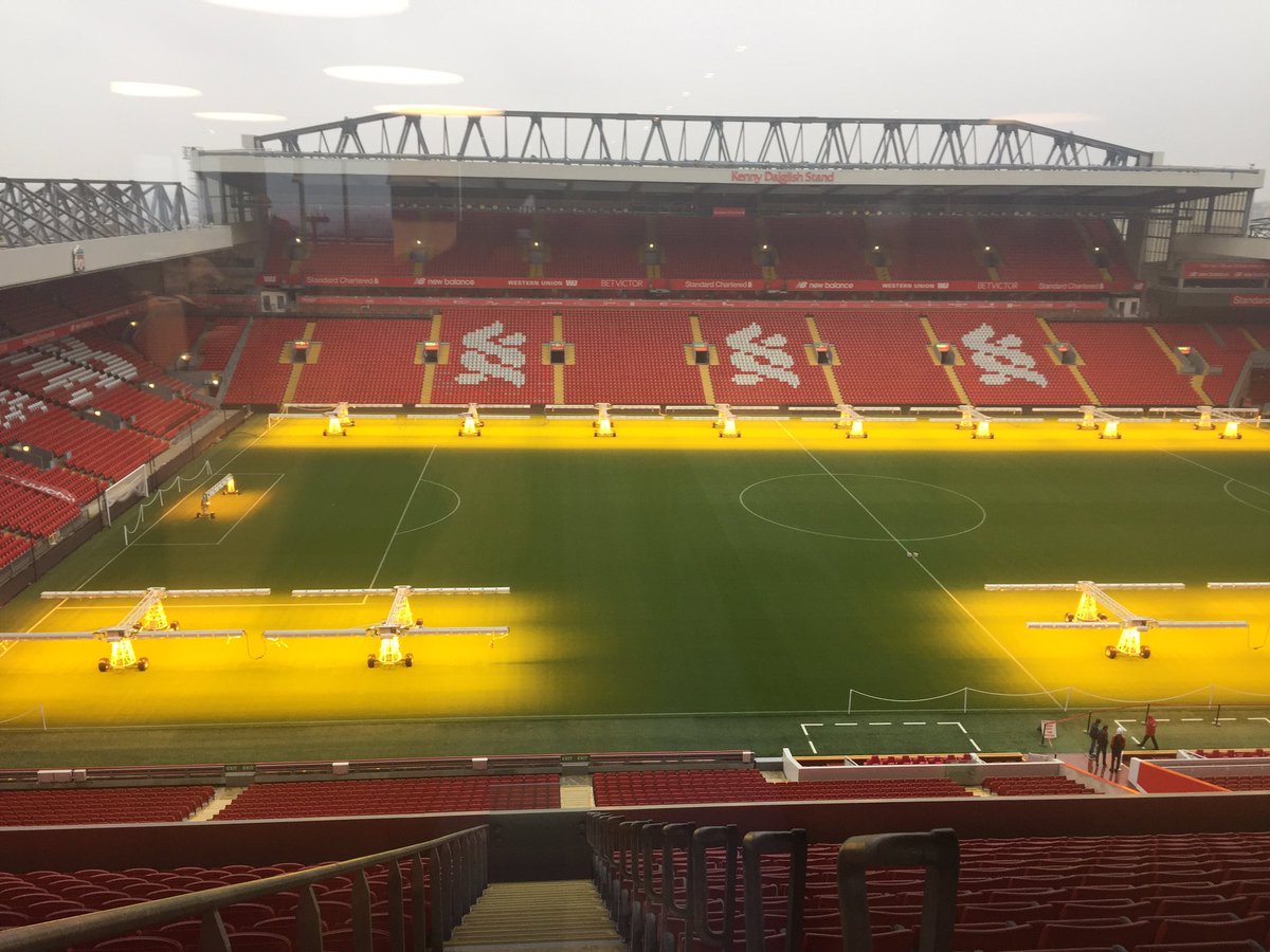 Sasha Morgan Manley tweet media