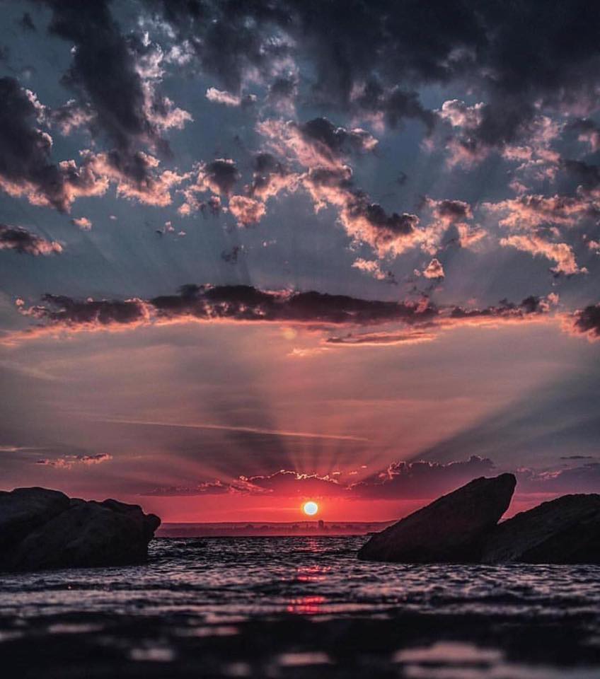 Kobus du Toit Bosman tweet media