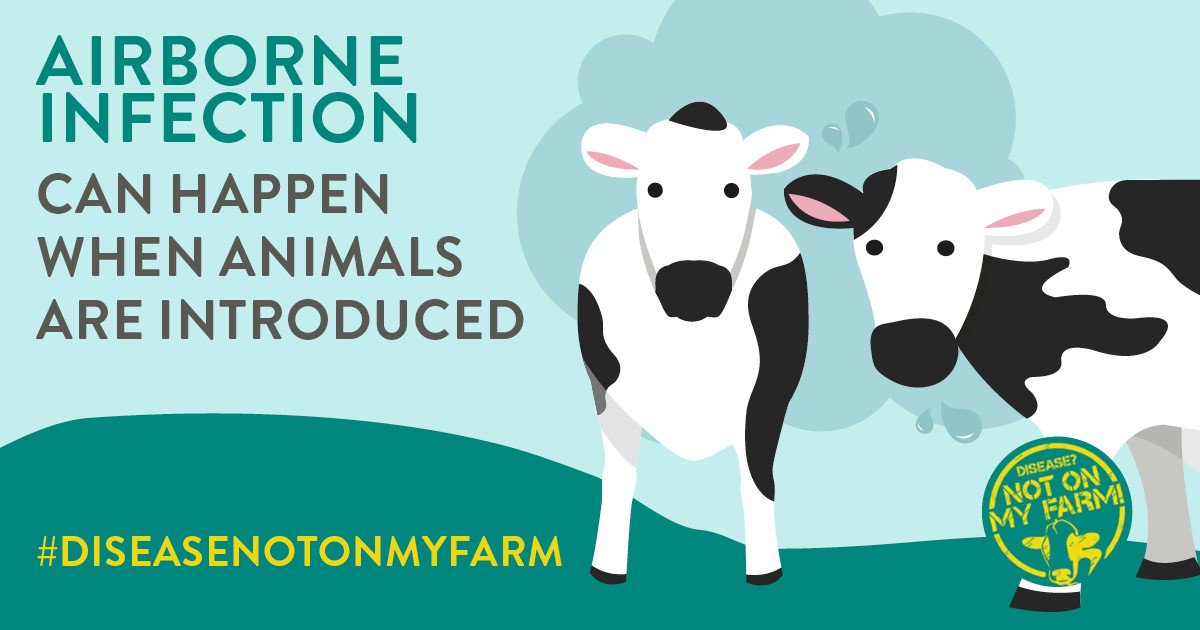 SenseHubGB's tweet photo. Airborne infection can happen when infected droplets are passed between animals #TransmissionTips #DiseaseNotOnMyFarm https://t.co/MsZl3uRRki