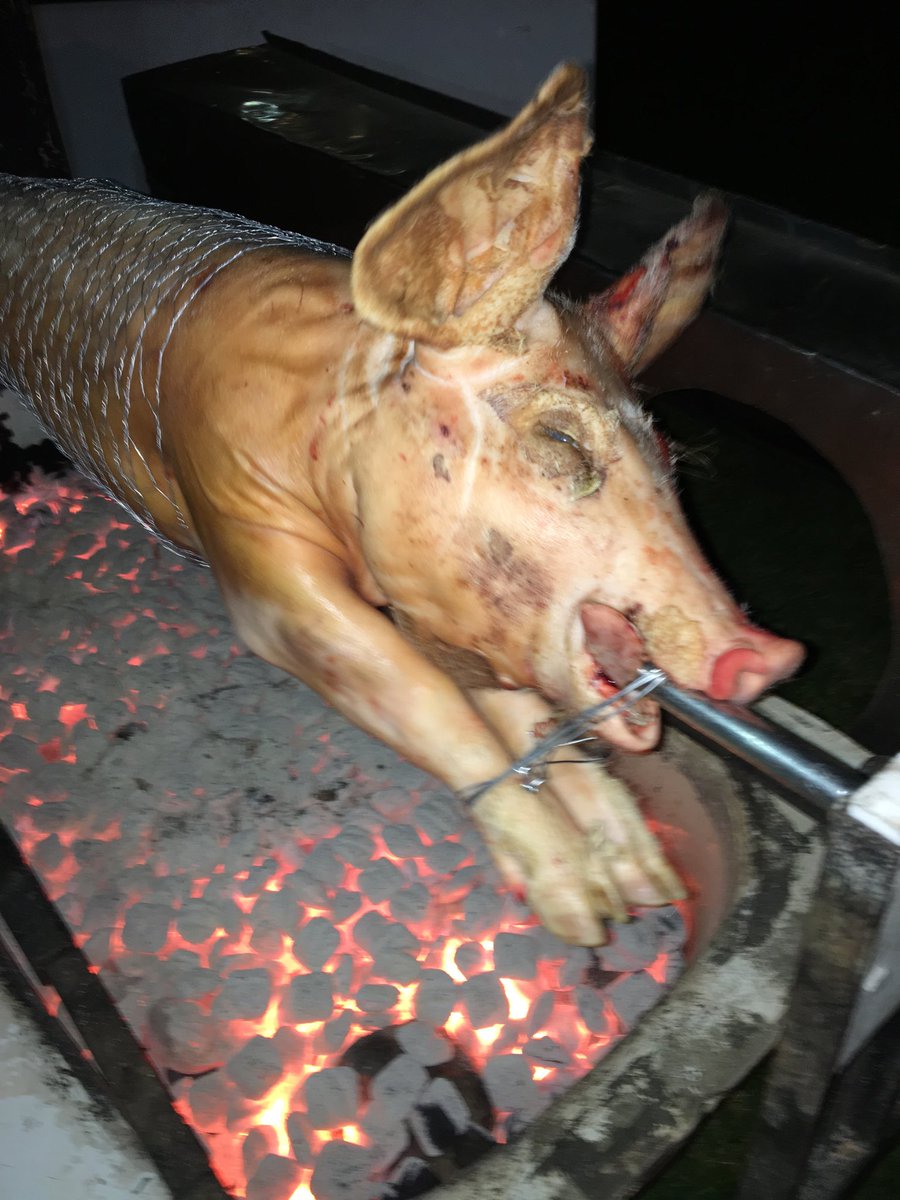 ChefAustinPEI's tweet photo. Service in 5 hours https://t.co/UJyCMkntk0