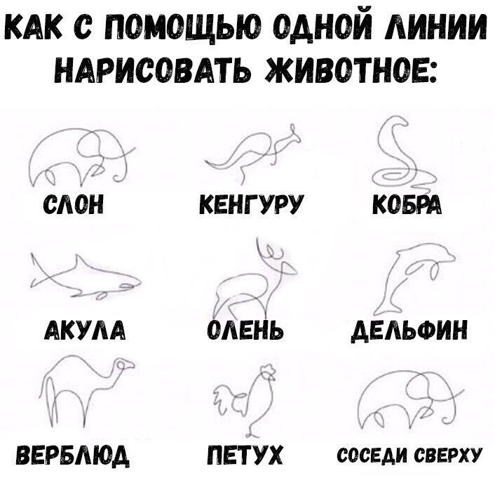 DMkiAnxXkAAuJF6.jpg