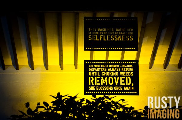 davidruston's tweet image. 5 years ago to the day, @cvmiddleton created this in Scarborough's Italian Gardens! Suppored by @electric_angel and funded by @IdeasTap 😍