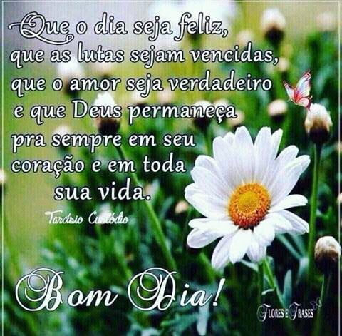 #Bomdia #betas #SDV #BetaQuerLab #betas #BetaAjudaBeta